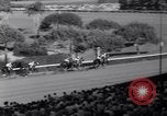 Image of race horse Mr America Inglewood California USA, 1961, second 43 stock footage video 65675034168