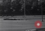Image of race horse Mr America Inglewood California USA, 1961, second 60 stock footage video 65675034168