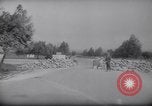Immagine di Francese e le truppe tunisino scontro Tunisia Africa del Nord, 1961, secondo 38 filmato di repertorio 65675034171