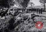 Immagine di Francese e le truppe tunisino scontro Tunisia Africa del Nord, 1961, secondo 45 filmato di repertorio 65675034171