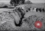 Immagine di Francese e le truppe tunisino scontro Tunisia Africa del Nord, 1961, secondo 48 filmato di repertorio 65675034171