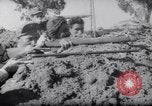 Immagine di Francese e le truppe tunisino scontro Tunisia Africa del Nord, 1961, secondo 51 filmato di repertorio 65675034171