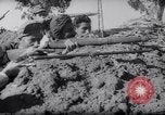 Immagine di Francese e le truppe tunisino scontro Tunisia Africa del Nord, 1961, secondo 52 filmato di repertorio 65675034171