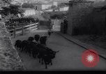 Immagine di La corrida Pamplona Spagna, 1961, secondo 12 filmato di repertorio 65675034174