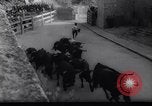 Immagine di La corrida Pamplona Spagna, 1961, secondo 13 filmato di repertorio 65675034174