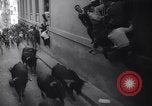 Immagine di La corrida Pamplona Spagna, 1961, secondo 21 filmato di repertorio 65675034174