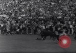 Immagine di La corrida Pamplona Spagna, 1961, secondo 44 filmato di repertorio 65675034174