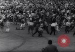 Immagine di La corrida Pamplona Spagna, 1961, secondo 58 filmato di repertorio 65675034174