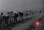 Standbild Waldbrände in Minnesota und ersten Hurrikan der Saison in Florida Minnesota United States USA, 1936, aus Sekunde 17 historischem Filmmaterial Videoclip 65675034178