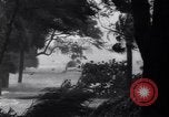 Standbild Waldbrände in Minnesota und ersten Hurrikan der Saison in Florida Minnesota United States USA, 1936, aus Sekunde 25 historischem Filmmaterial Videoclip 65675034178