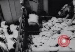 Immagine di Bizerte rifugiati Tunisia Africa del Nord, 1961, secondo 47 filmato di repertorio 65675034187