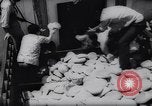 Immagine di Bizerte rifugiati Tunisia Africa del Nord, 1961, secondo 48 filmato di repertorio 65675034187