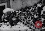 Immagine di Bizerte rifugiati Tunisia Africa del Nord, 1961, secondo 50 filmato di repertorio 65675034187