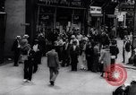 Standbild Rennpferd Beau Prince Saratoga New York USA, 1961, aus Sekunde 16 historischem Filmmaterial Videoclip 65675034194