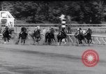 Standbild Rennpferd Beau Prince Saratoga New York USA, 1961, aus Sekunde 52 historischem Filmmaterial Videoclip 65675034194