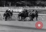 Standbild Rennpferd Beau Prince Saratoga New York USA, 1961, aus Sekunde 55 historischem Filmmaterial Videoclip 65675034194
