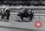 Standbild Rennpferd Beau Prince Saratoga New York USA, 1961, aus Sekunde 56 historischem Filmmaterial Videoclip 65675034194