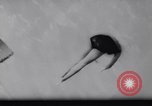 Image championnat de natation Reutlingen Allemagne, 1961, de la seconde 15 séquences d'archives historiques vidéo 65675034199