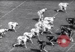Immagine di Stan Cann Atlanta Georgia USA, 1961, secondo 11 filmato di repertorio 65675034212