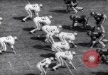 Immagine di Stan Cann Atlanta Georgia USA, 1961, secondo 28 filmato di repertorio 65675034212