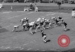 Image of American football match New York City USA, 1962, second 60 stock footage video 65675034216