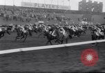 Image cheval de course Nicolaus Silver Aintree Liverpool en Angleterre, 1961, de la seconde 48 séquences d'archives historiques vidéo 65675034218