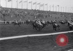 Image cheval de course Nicolaus Silver Aintree Liverpool en Angleterre, 1961, de la seconde 60 séquences d'archives historiques vidéo 65675034218