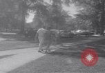 Image of James Meredith Oxford Mississippi USA, 1962, second 22 stock footage video 65675034265