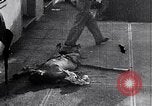 Image of Castro Revolutionaries attack Moncada army barracks  Cuba, 1953, second 30 stock footage video 65675034273