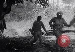 Image of Castro forces engage Batista forces in all out battles  Cuba, 1958, second 3 stock footage video 65675034276