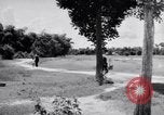 Image of Life in Vietnam Vietnam, 1964, second 62 stock footage video 65675034309