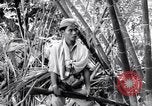 Standbild Schlachtfeld Vietnam, 1964, aus Sekunde 20 historischem Filmmaterial Videoclip 65675034313