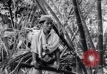 Standbild Schlachtfeld Vietnam, 1964, aus Sekunde 22 historischem Filmmaterial Videoclip 65675034313