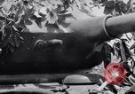 Standbild Schlachtfeld Vietnam, 1964, aus Sekunde 27 historischem Filmmaterial Videoclip 65675034313