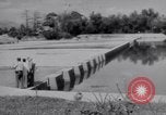 Standbild Schlachtfeld Vietnam, 1964, aus Sekunde 49 historischem Filmmaterial Videoclip 65675034313