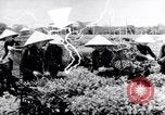 Standbild Schlachtfeld Vietnam, 1964, aus Sekunde 62 historischem Filmmaterial Videoclip 65675034313