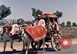 Standbild Jacqueline Kennedy New Delhi Indien, 1962, aus Sekunde 40 historischem Filmmaterial Videoclip 65675034317
