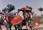 Standbild Jacqueline Kennedy New Delhi Indien, 1962, aus Sekunde 41 historischem Filmmaterial Videoclip 65675034317