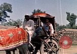 Standbild Jacqueline Kennedy New Delhi Indien, 1962, aus Sekunde 42 historischem Filmmaterial Videoclip 65675034317