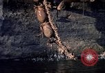 Standbild Jacqueline Kennedy Udaipur Rajasthan Indien, 1962, aus Sekunde 62 historischem Filmmaterial Videoclip 65675034320