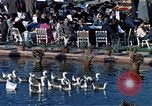 Image Jacqueline Kennedy Shalimar Gardens, 1962, de la seconde 21 séquences d'archives historiques vidéo 65675034324