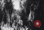 Image of Bay of Pigs invasion Cuban perspective Cuba, 1961, second 48 stock footage video 65675034327