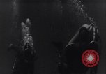 Image of Bay of Pigs invasion Cuba, 1961, second 18 stock footage video 65675034328