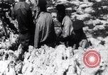 Image of Bay of Pigs invasion Cuba, 1961, second 58 stock footage video 65675034328