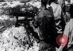 Image of Bay of Pigs invasion Cuba, 1961, second 60 stock footage video 65675034328