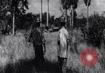 Immagine di L invasione di Baia dei porci Jocuma Cuba, 1961, secondo 17 filmato di repertorio 65675034332