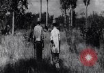 Immagine di L invasione di Baia dei porci Jocuma Cuba, 1961, secondo 19 filmato di repertorio 65675034332
