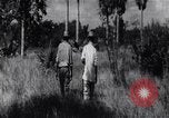 Immagine di L invasione di Baia dei porci Jocuma Cuba, 1961, secondo 20 filmato di repertorio 65675034332