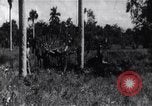 Immagine di L invasione di Baia dei porci Jocuma Cuba, 1961, secondo 58 filmato di repertorio 65675034332