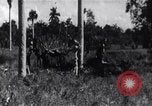 Immagine di L invasione di Baia dei porci Jocuma Cuba, 1961, secondo 59 filmato di repertorio 65675034332